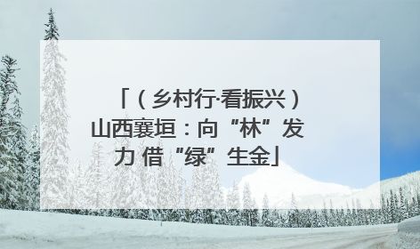 （乡村行·看振兴）山西襄垣：向“林”发力 借“绿”生金