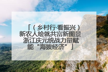 （乡村行·看振兴）新农人绘就共富新图景 浙江庆元统战力量赋能“海拔经济”
