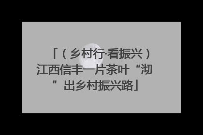（乡村行·看振兴）江西信丰一片茶叶“沏”出乡村振兴路