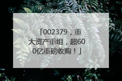 002379，重大资产重组，超600亿重磅收购！
