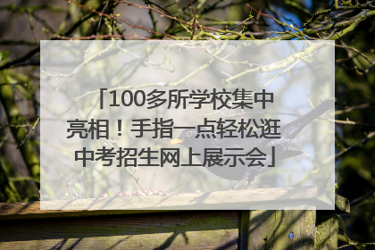 100多所学校集中亮相！手指一点轻松逛中考招生网上展示会