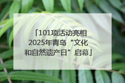 101项活动亮相 2025年青岛“文化和自然遗产日”启幕