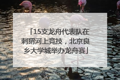 15支龙舟代表队在刺猬河上竞技，北京良乡大学城举办龙舟赛