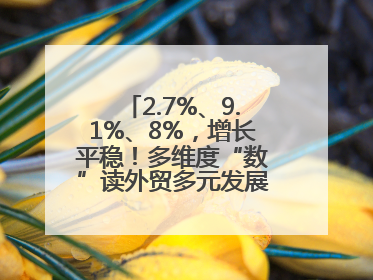 2.7%、9.1%、8%，增长平稳！多维度“数”读外贸多元发展、综合优势明显