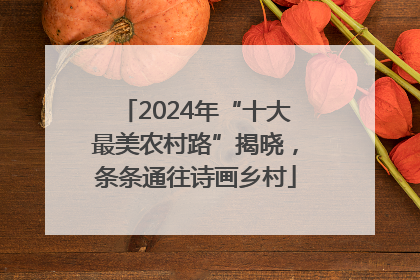 2024年“十大最美农村路”揭晓，条条通往诗画乡村