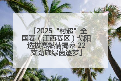 2025“村超”全国赛（江西赛区）弋阳选拔赛燃情揭幕 22支劲旅绿茵逐梦