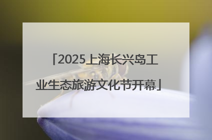 2025上海长兴岛工业生态旅游文化节开幕