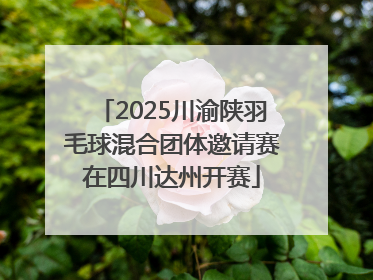 2025川渝陕羽毛球混合团体邀请赛在四川达州开赛