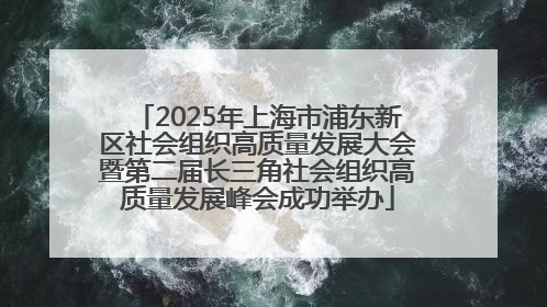 2025年上海市浦东新区社会组织高质量发展大会暨第二届长三角社会组织高质量发展峰会成功举办