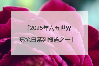 2025年六五世界环境日系列报道之一