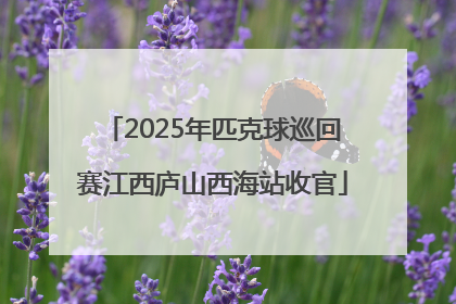 2025年匹克球巡回赛江西庐山西海站收官