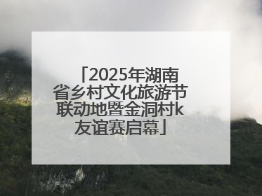 2025年湖南省乡村文化旅游节联动地暨金洞村k友谊赛启幕