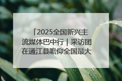 2025全国新兴主流媒体巴中行｜采访团在通江县瞻仰全国最大红军烈士陵园