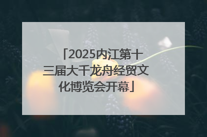 2025内江第十三届大千龙舟经贸文化博览会开幕