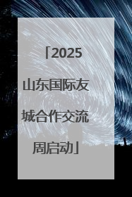 2025山东国际友城合作交流周启动