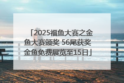 2025福鱼大赛之金鱼大赛颁奖 56尾获奖金鱼免费展览至15日