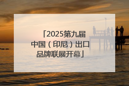 2025第九届中国（印尼）出口品牌联展开幕