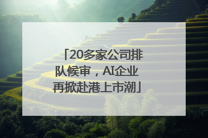 20多家公司排队候审，AI企业再掀赴港上市潮