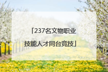 237名文物职业技能人才同台竞技