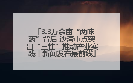 3.3万余亩“两味药”背后 沙湾重点突出“三性”推动产业实践丨新闻发布最前线