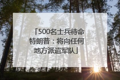 500名士兵待命 特朗普：将向任何地方派遣军队