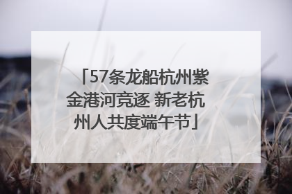 57条龙船杭州紫金港河竞逐 新老杭州人共度端午节