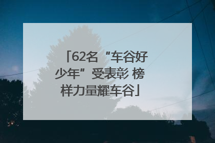 62名“车谷好少年”受表彰 榜样力量耀车谷