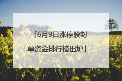 6月9日涨停股封单资金排行榜出炉