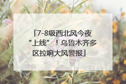 7-8级西北风今夜“上线”！乌鲁木齐多区拉响大风警报