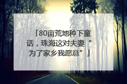 80亩荒地种下童话，珠海这对夫妻“为了家乡我愿意”