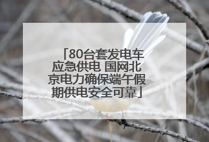 80台套发电车应急供电 国网北京电力确保端午假期供电安全可靠