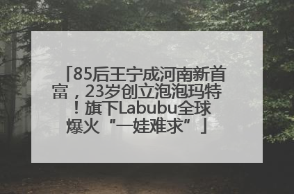 85后王宁成河南新首富，23岁创立泡泡玛特！旗下Labubu全球爆火“一娃难求”