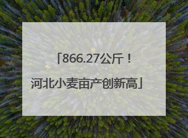 866.27公斤！河北小麦亩产创新高