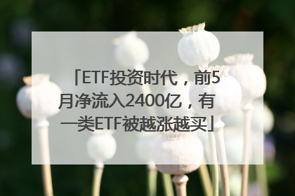 ETF投资时代，前5月净流入2400亿，有一类ETF被越涨越买