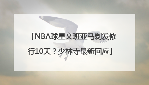 NBA球星文班亚马剃发修行10天？少林寺最新回应